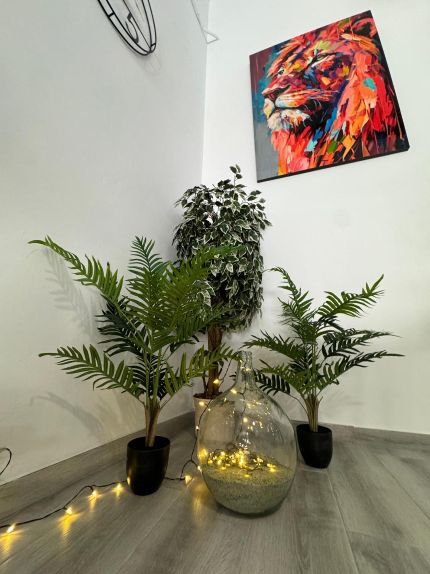 Dream Loft Sc Apartment Santa Cruz de Tenerife Exterior photo